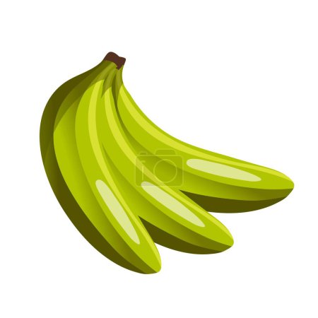 Illustration for Peeled unpeeled fresh green banana. A bunch of bananas, fruit. For design and decoration. vector illustration. - Royalty Free Image