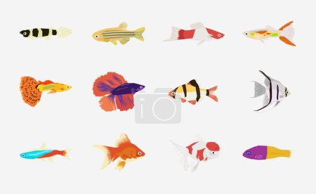 Téléchargez les illustrations : Aquarium Fish vecteur en conception plate - en licence libre de droit
