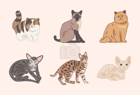 Illustrazione per Carino gatti in design piatto - Immagini Royalty Free