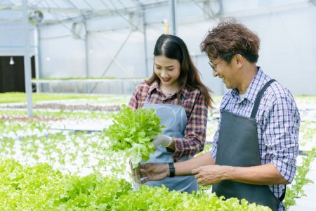Photo for People with hydroponic organic farm green oak lettuce salad growing. couple young agriculture business startup working together happy smile with vegetable plant crops product - Royalty Free Image