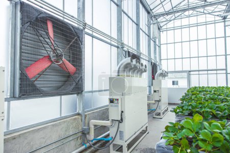 Téléchargez les photos : Indoor greenhouse agriculture farm air ventilator cooling wind flow pipe tube temperature humidity control system for planting - en image libre de droit
