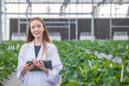 portrait scientist in large green house organic strawberry agriculture farm for plant research working woman. Poster 649073222