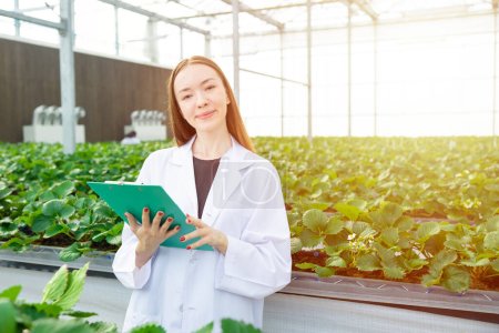 Scientist working collect data record tracking plant grow data for agriculture farm research science education Poster 653833402