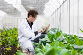 Agriculture scientist man working plant research in bio farm laboratory. Biologist study collecting data with laptop computer. Poster #653836948