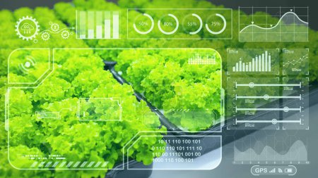 Gráficos modernos HUD para computadora digital Tecnología IOT en agricultura concepto de análisis de crecimiento de plantas agrícolas