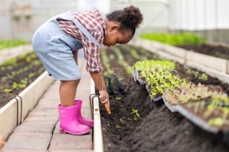 Photo for African black child playing planting the green tree gardening in agriculture farm. Children love nature concept. - Royalty Free Image