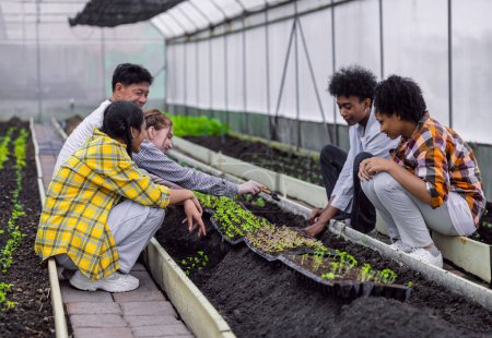Photo for Group of young school teenager learning agricultural in plant vegetable nursery agriculture farm gardening in greenhouse - Royalty Free Image