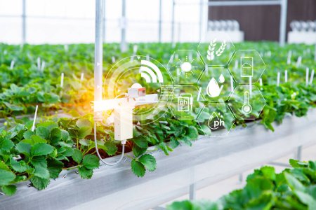 Agricultura tecnología agrícola inteligente sensor de iluminación de humedad de CO2 dispositivo de monitoreo de temperatura para vivero de plantas de automatización en invernadero