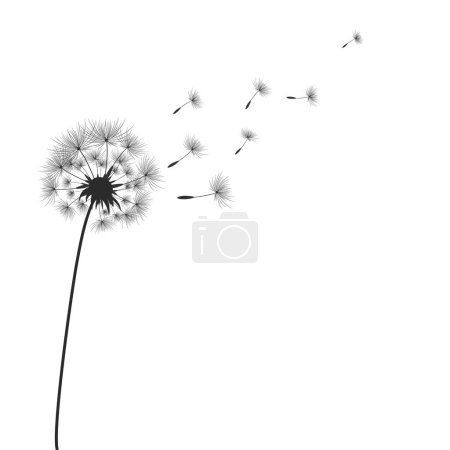 Ilustración de Flores de diente de león con semillas que vuelan en el viento. - Imagen libre de derechos