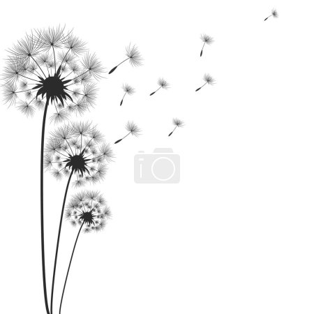 Ilustración de Flores de diente de león con semillas que vuelan en el viento. - Imagen libre de derechos