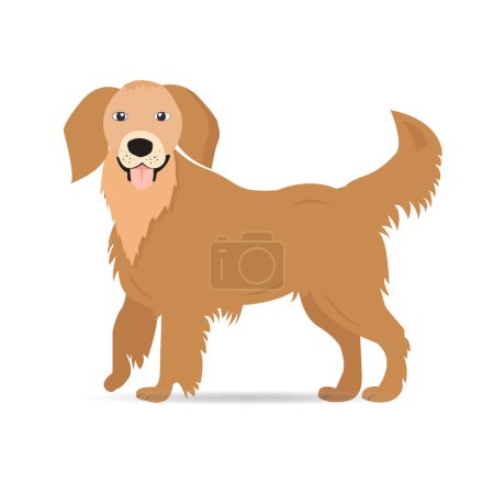 Illustration for Golden retriever, cheerful and kind dog. Flat vector illustration. - Royalty Free Image