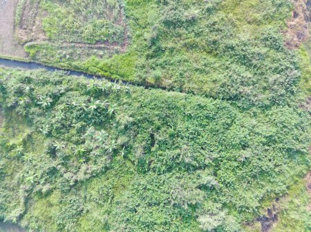 Photo for Aerial view of land mapping by unmaned aerial vehicle in Bogor, Indonesia. - Royalty Free Image