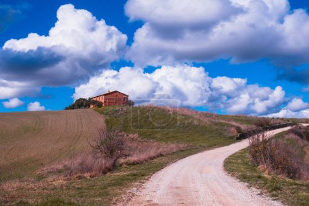 Sonnige toskanische Landschaft: Grüne Hügel, blauer Himmel und Feldwege