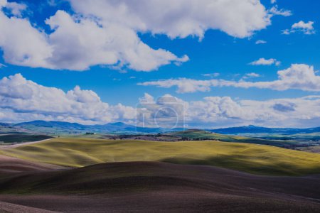 Idyllic Tuscan Landscape: Green Hills, Blue Sky, and Sunshine