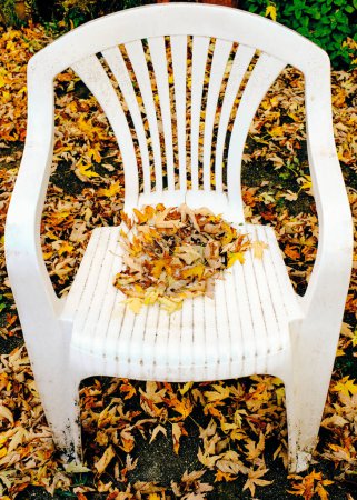 Photo for Autumn fallen leaves collect on an old plastic lawn chair in the back yard - Royalty Free Image