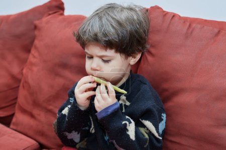 Foto de Lindo joven en un suéter está comiendo verduras en un sofá rojo en casa - Imagen libre de derechos