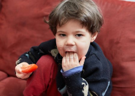 Foto de Lindo joven en un suéter está comiendo verduras en un sofá rojo en casa - Imagen libre de derechos