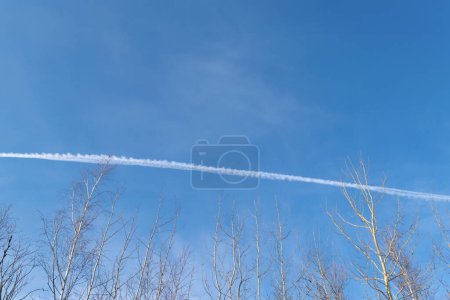 Trace blanche depuis un avion dans le ciel bleu. Arbres nus.