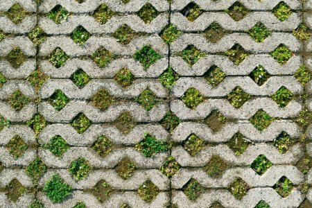 Grass grows through tiles in a park. Backgrounds and textures. Details and elements.