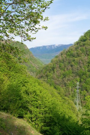 Beautiful summer mountain landscape. Green Forest. Hilly terrain. Hiking in the mountains.