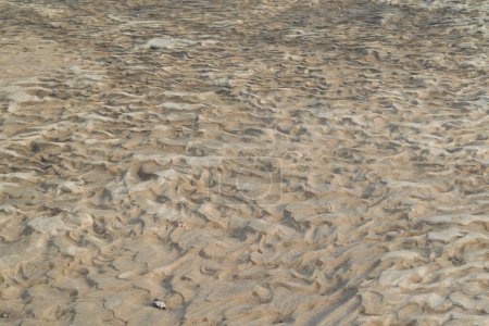 Sandiger Boden eines trockenen Flusses. Muster im Sand. Sand im Hintergrund. Sandstrand.