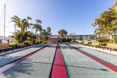 Photo for Shuffleboard courts, benches around, with palm trees blue sky and boats in the background - Royalty Free Image