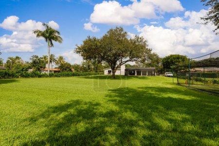 Téléchargez les photos : Beau et spacieux parc avec herbe courte, grand arbre au milieu du parc, plantes tropicales, buissons, palmiers, ciel bleu - en image libre de droit