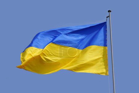 Photo for Ukrainian flag in the blue sky. The flag, the symbol of the state of Ukraine, flutters in the wind. - Royalty Free Image
