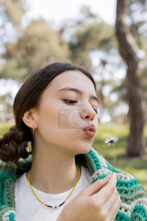 Portrait of young brunette woman blowing on daisy flower in summer park 