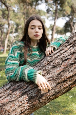 Young brunette woman in sweater looking at camera near tree trunk in summer park 