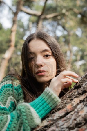 Porträt einer jungen brünetten Frau im Pullover, die in der Nähe eines Baumstammes im Park in die Kamera blickt 