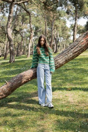 Mujer joven en suéter y jeans de pie cerca del árbol en el parque de verano 