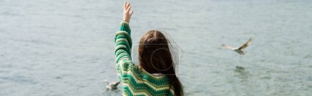 Photo for Back view of brunette woman in sweater standing near blurred seagulls on water in Turkey, banner - Royalty Free Image