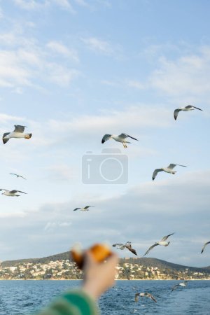 Foto de Gaviotas volando sobre el mar cerca de la mano borrosa y recortada de la mujer con pan - Imagen libre de derechos