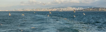 Téléchargez les photos : Oiseaux volant au-dessus de la mer avec Istanbul en arrière-plan en Turquie, bannière - en image libre de droit