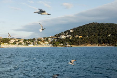Niewyraźne ptaki lecące nad morzem z linią brzegową na tle Turcji 