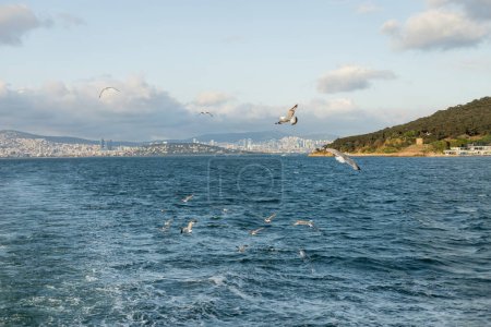 Morze i zamazane wybrzeże Wysp Księżniczki na tle Turcji 