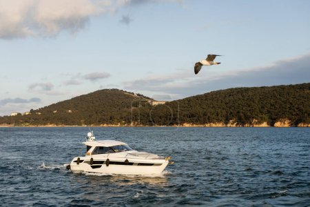 Téléchargez les photos : Yacht blanc moderne en mer avec des îles princesse en arrière-plan en Turquie - en image libre de droit