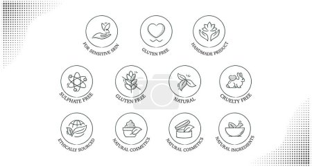 Illustration for Discover icons representing clean and responsible cosmetics. These symbols signify products sourced ethically, free from cruelty, GMOs, and harsh sulfates, aligning with conscientious and eco-friendly beauty choices. - Royalty Free Image