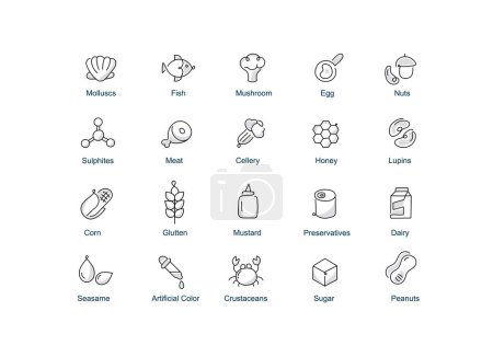 Illustration for Allergen Warning Symbols. Use our allergen warning symbols to indicate common allergens like gluten, peanuts, dairy, and more in your products. - Royalty Free Image