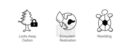Conjunto de iconos de conservación ambiental. Bloquea Carbono, Restauración de Ecosistemas, Rewilding. Iconos editables del derrame cerebral.