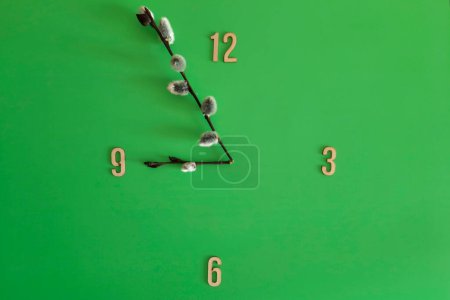 Photo for Spring morning. Concept of arrival of spring, time, season, nature. Springtime. Flat lay. Composition of clock with hour hands made of fluffy willow branches on green background. Time 9 am. Lifestyle. - Royalty Free Image