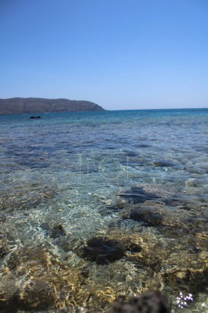 Photo for The beautiful sheer and blue sea of Kedrodasos, Crete - Royalty Free Image