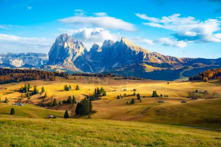 Photo for Alpe di Siusi - Seiser Alm with Sassolungo - Langkofel mountain group in background at sunset. blue sky,  wooden chalets in Dolomites, Dolomites Alps Sassolungo and Sassopiatto mountains, Trentino Alto Adige Sud Tyrol, Italy, Europe - Royalty Free Image