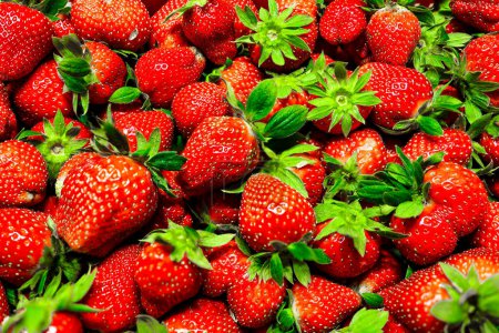 a view filled with fresh red strawberries