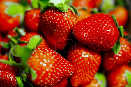 une vue remplie de fraises rouges fraîches