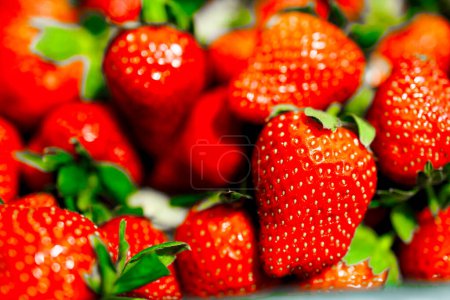 eine Ansicht gefüllt mit frischen roten Erdbeeren