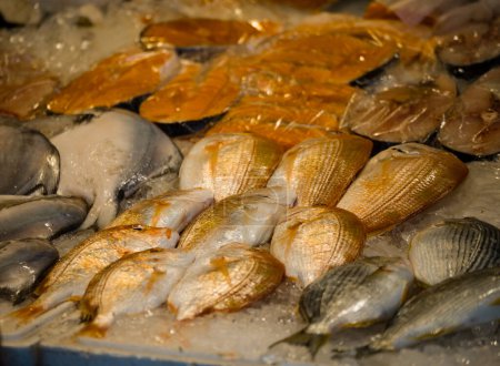 ein Marktstand mit verschiedenen frischen, lebhaften Meeresfrüchten
