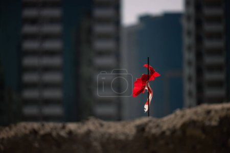 Téléchargez les photos : Piquet d'arpentage en métal avec drapeau rouge sur chantier. Photo de haute qualité - en image libre de droit