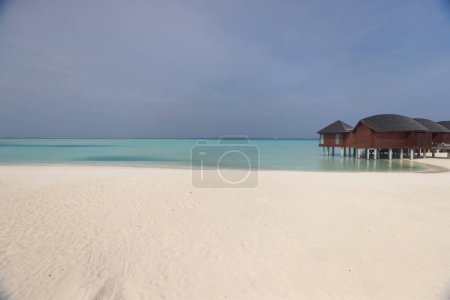 Foto de Increíble playa en las Maldivas. Foto de alta calidad - Imagen libre de derechos